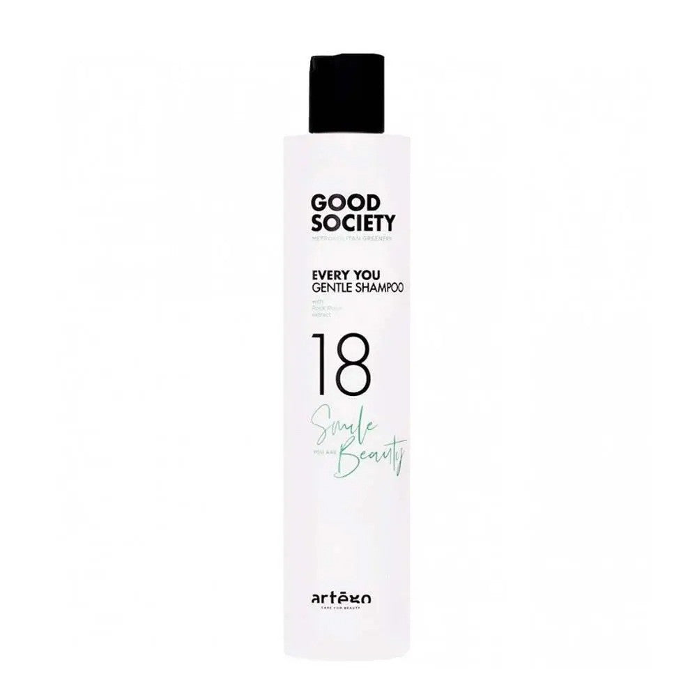 Шампунь для щоденного використання Artego 18 Every You Gentle Shampoo, 250 мл