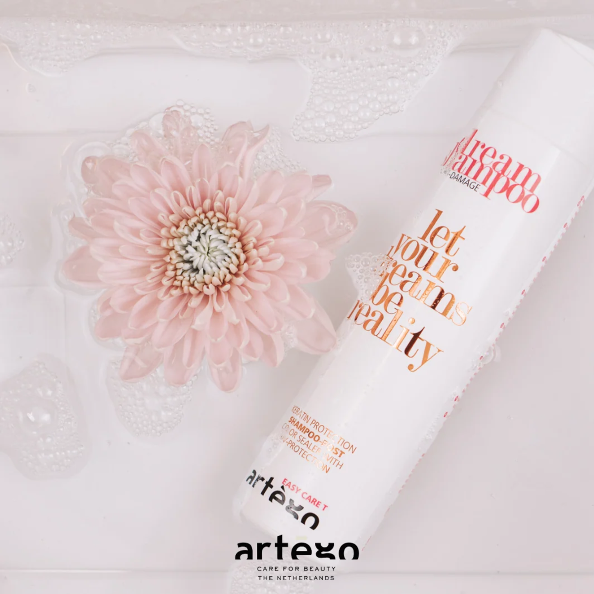 Шампунь для пошкодженого волосся Easy Care T Dream Shampoo Artego 250 мл