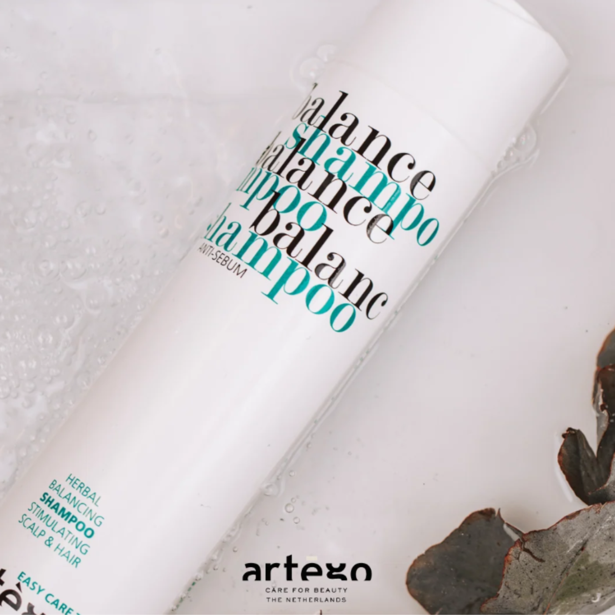 Шампунь для жирного волосся Easy Care T Balance Shampoo Artego 250 мл