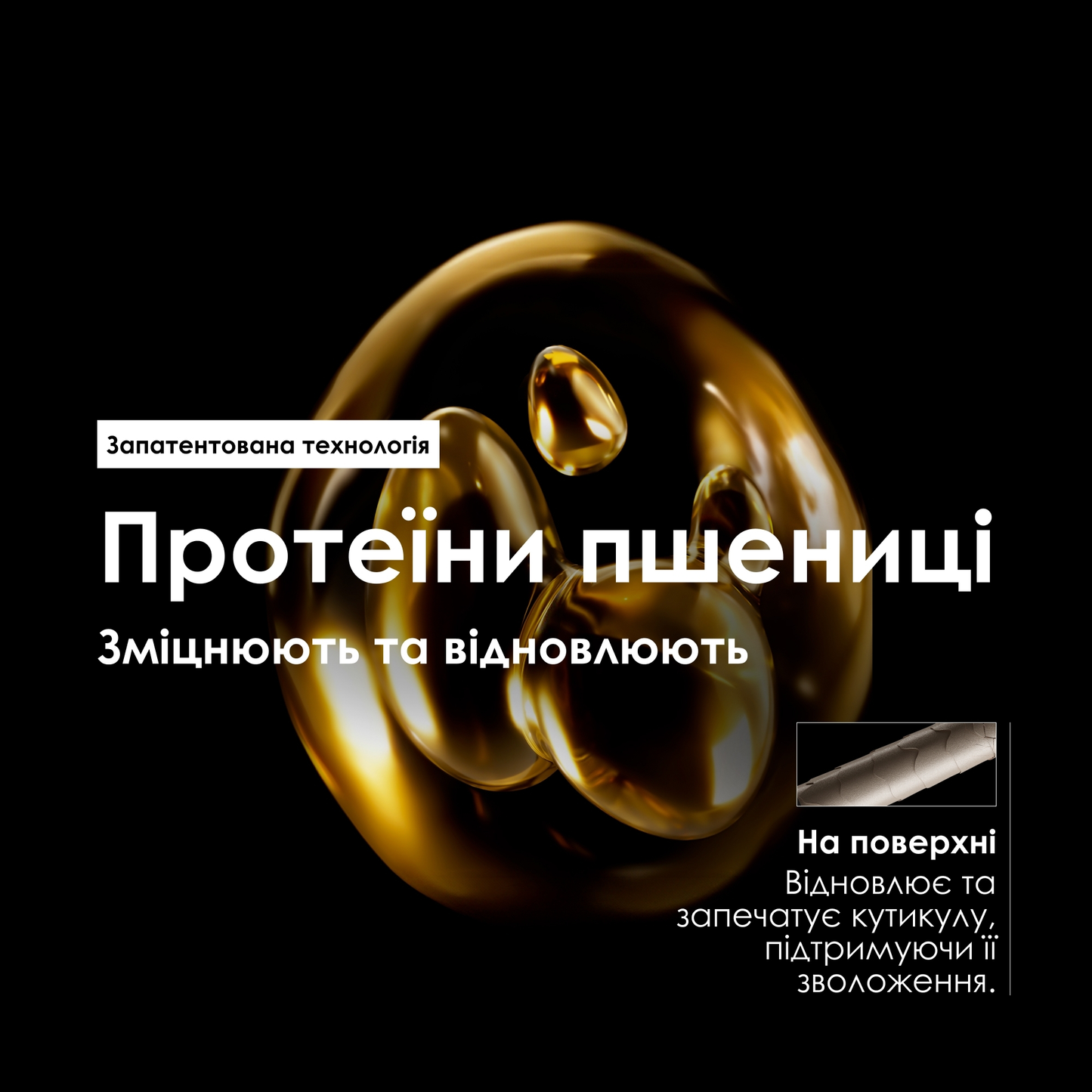 Набір для пошкодженого волосся Absolut Repair L'Oreal Professionnel (300 мл+250 мл)