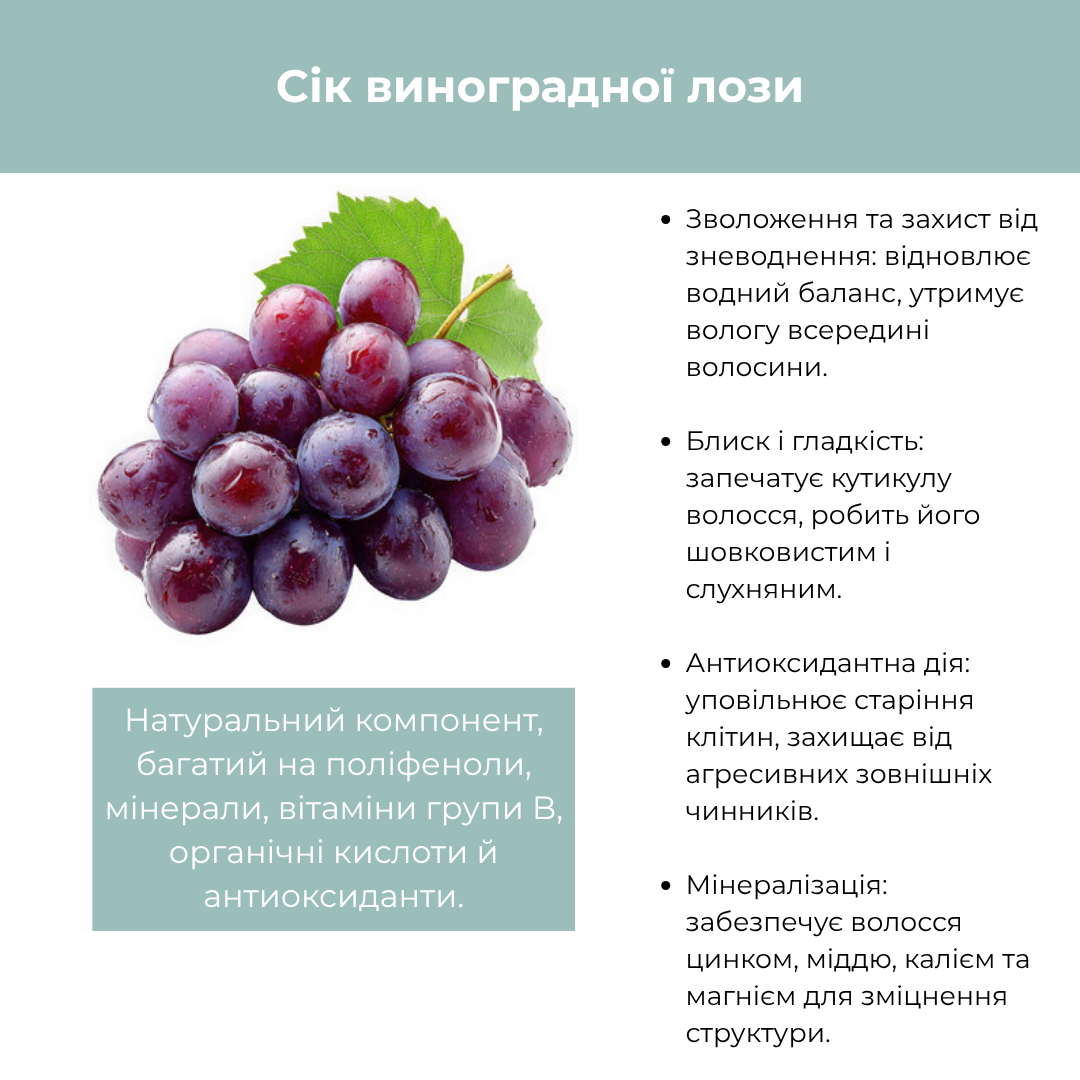 Шампунь для блиску з ламелярною технологією BIO LAMELLAR RAYWELL 1000 мл