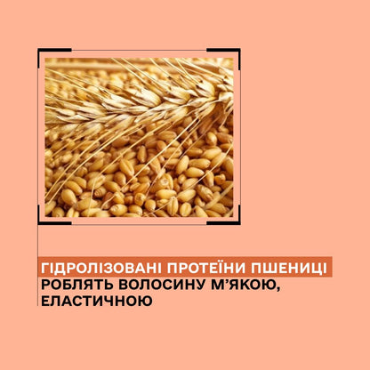 Шампунь для сухого і пошкодженого волосся Y1.1 Sinergy 250 мл
