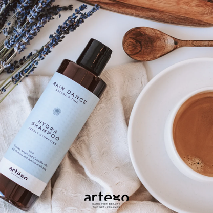 Зволожуючий шампунь для сухого волосся Rain Dance Hydra Shampoo Artego 250 мл