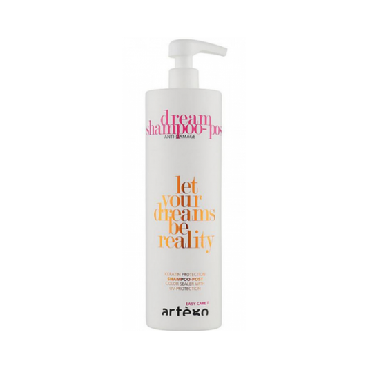 Шампунь для пошкодженого волосся Easy Care T Dream Shampoo Artego 1000 мл