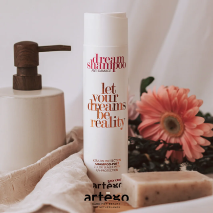 Шампунь для пошкодженого волосся Easy Care T Dream Shampoo Artego 250 мл