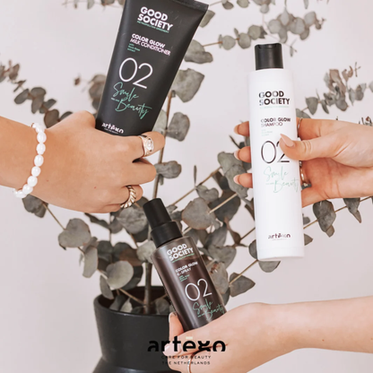 Шампунь для пофарбованого волосся Good Society 02 Color Glow Shampoo Artego 250 мл