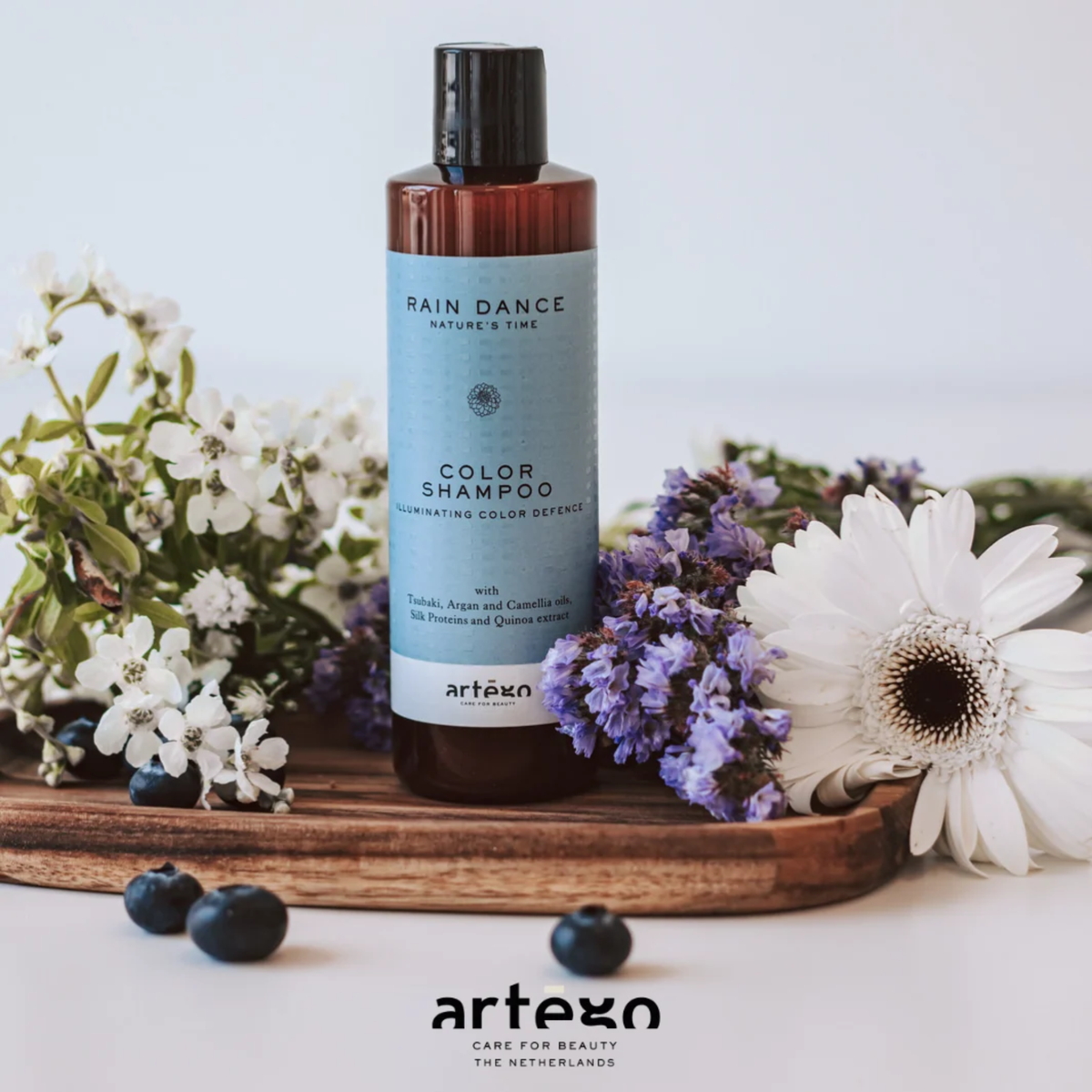Шампунь для фарбованого волосся Rain Dance Color Shampoo Artego 250 мл