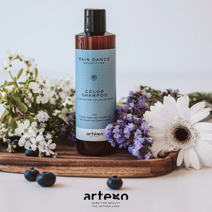 Шампунь для фарбованого волосся Rain Dance Color Shampoo Artego 250 мл