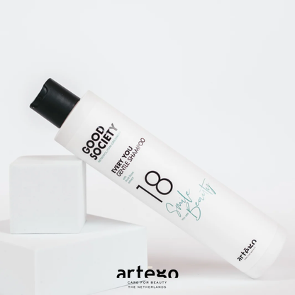 Шампунь для щоденного використання Good Society 18 Every You Gentle Shampoo Artego 250 мл