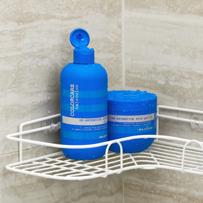 Шампунь відновлюючий для пошкодженого волосся Colorcare Re-Animation Shampoo Elgon 300 мл