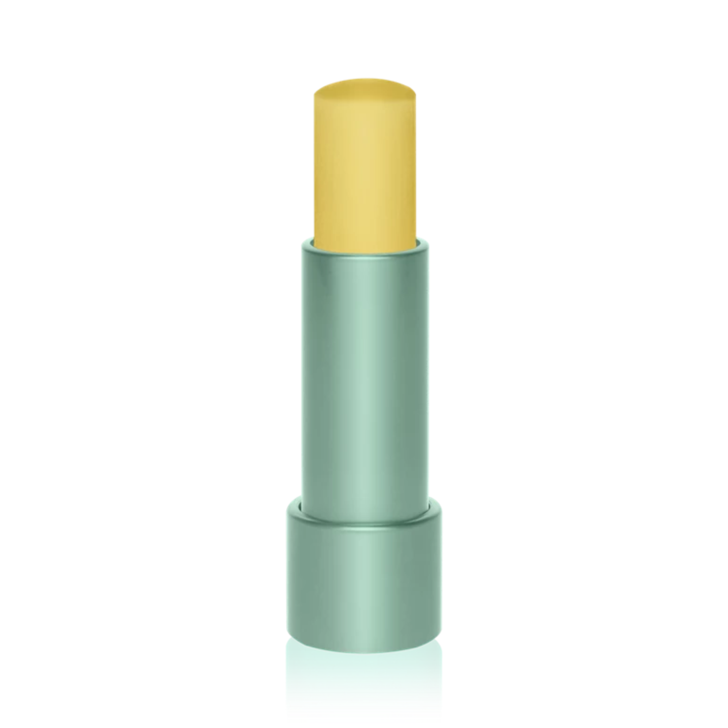 Бальзам для губ SPF 30 Protecting Lipbalm Rituals 4.8 г