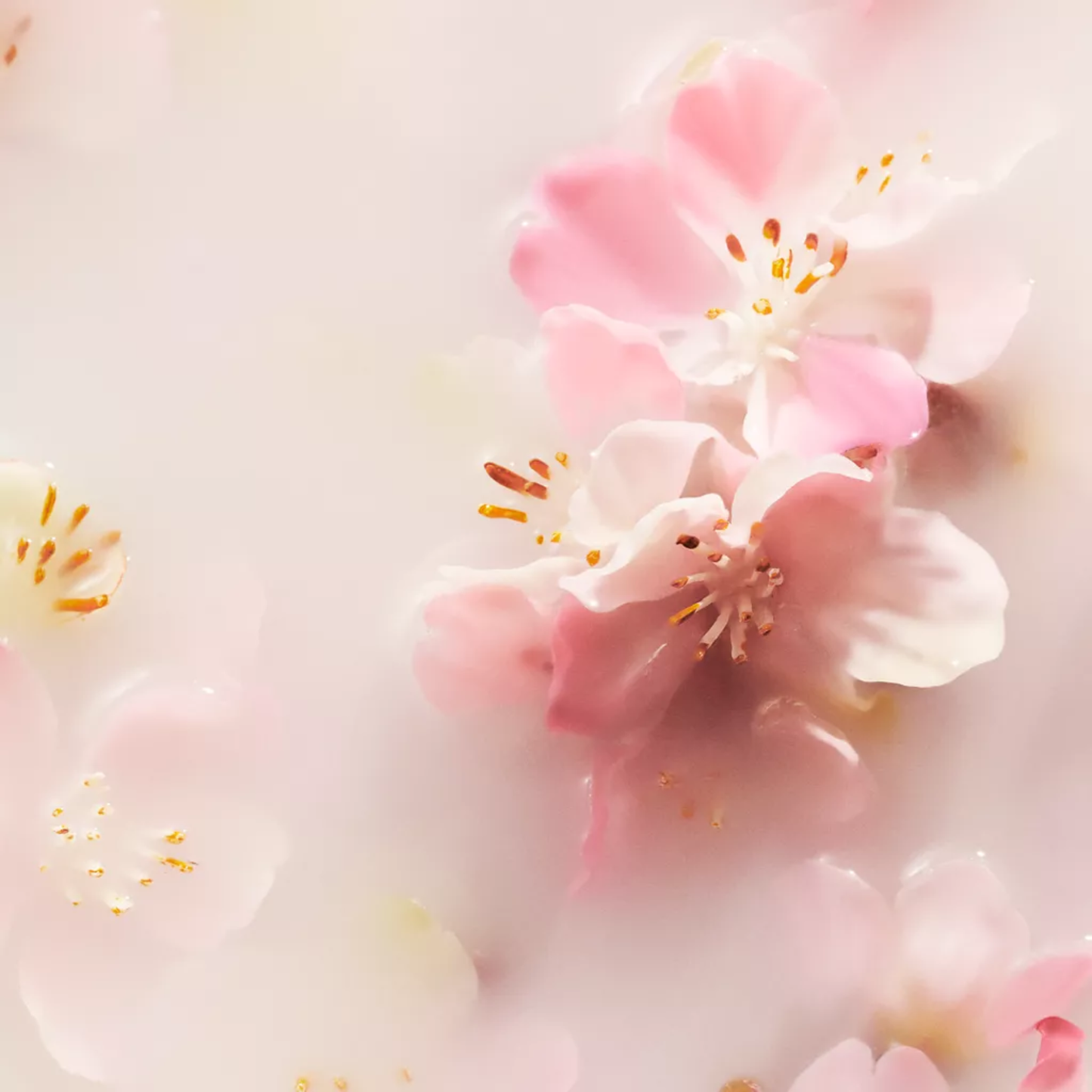 Мило для рук The Ritual of Sakura Hand Wash Rituals 300 мл